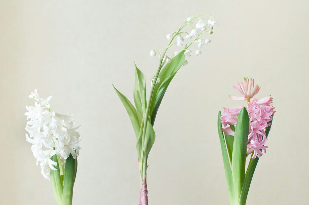 Avantajele unui buchet de flori din săpun fata de flori naturale